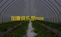 加查俱乐部nox